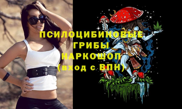 прущий лед Балахна